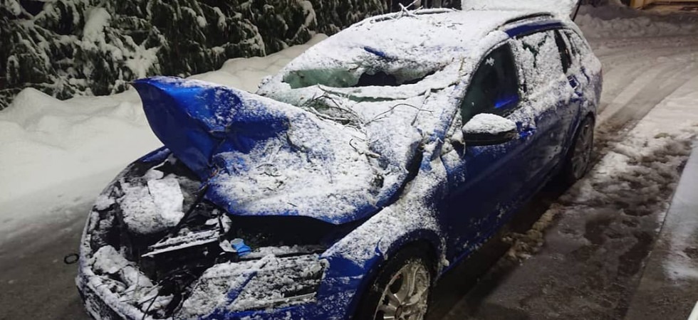 Incidente lungo la statale: un albero si schianta su una macchina in transito, causando gravi danni al veicolo